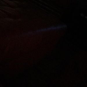 Meet your Posher, Adrienne